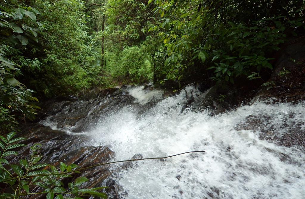 Marg Stream Valley Vythiri Esterno foto